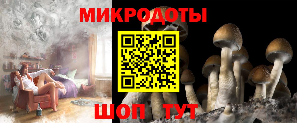 Похвистнево  Галлюциногенные грибы ЛСД  Галлюциногенные грибы мицелий  Вход с VPN 